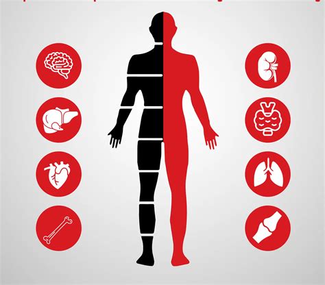 Best Medical Health & Body Checkup Services in .